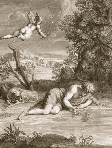 Narcissus Transformed into a Flower, 1730 by Bernard Picart